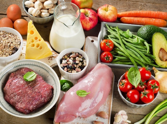 Protein diet products